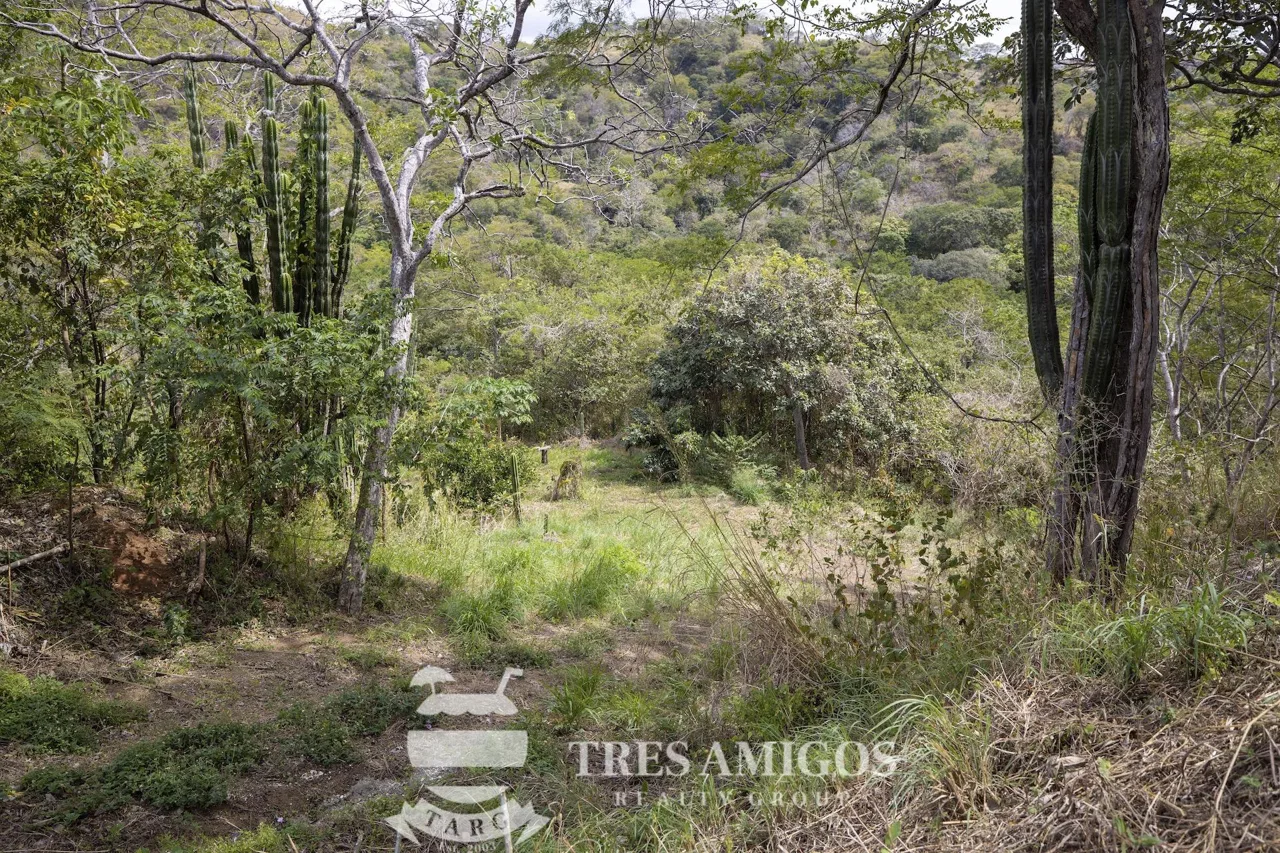 PACIFICO LOT 54, photo 15