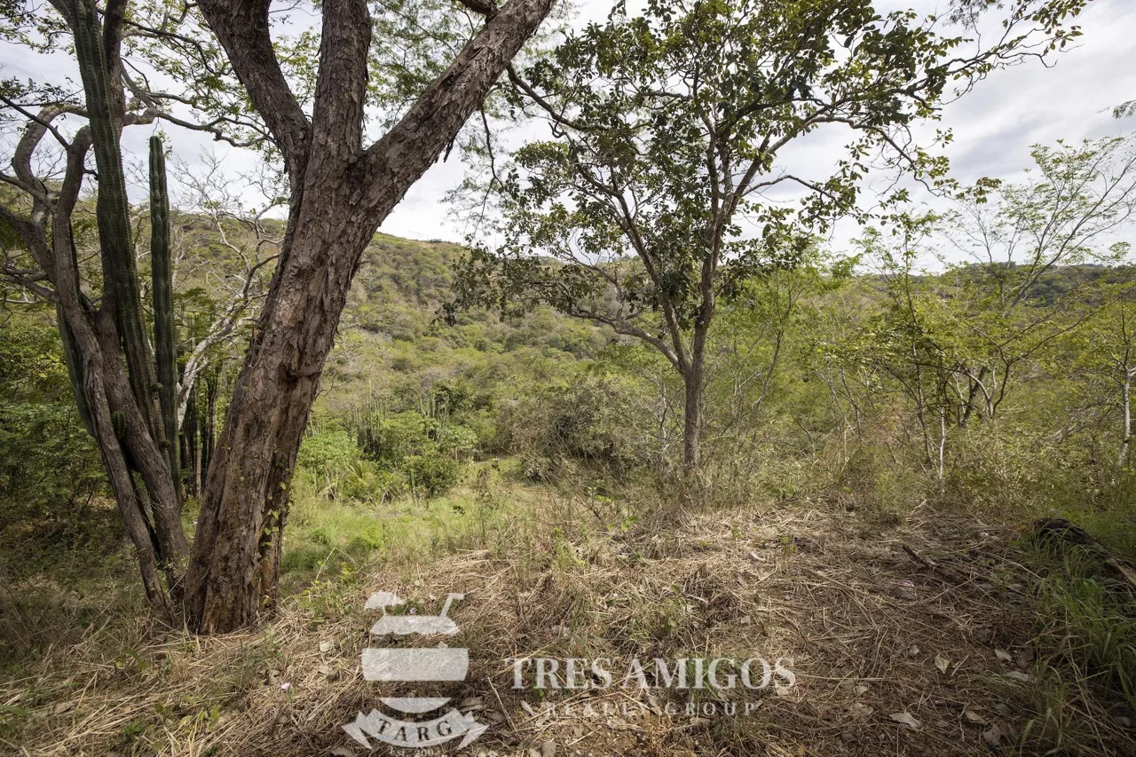 PACIFICO LOT 54, photo 17