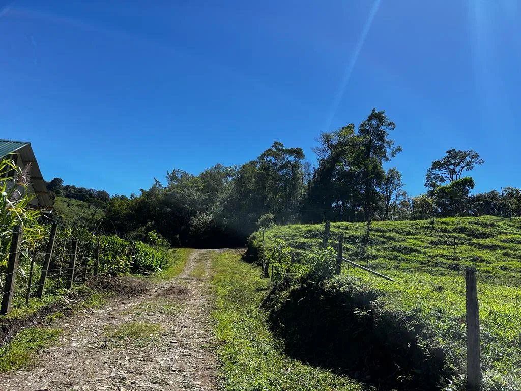 Spectacular Land in Monteverde - RE/MAX Tierra de Oro