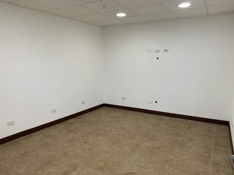 * Lobby doble altura, acceso especial a oficinas, photo 7