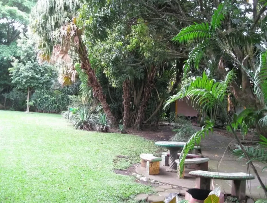 Property with Buildings for Sale, photo 11