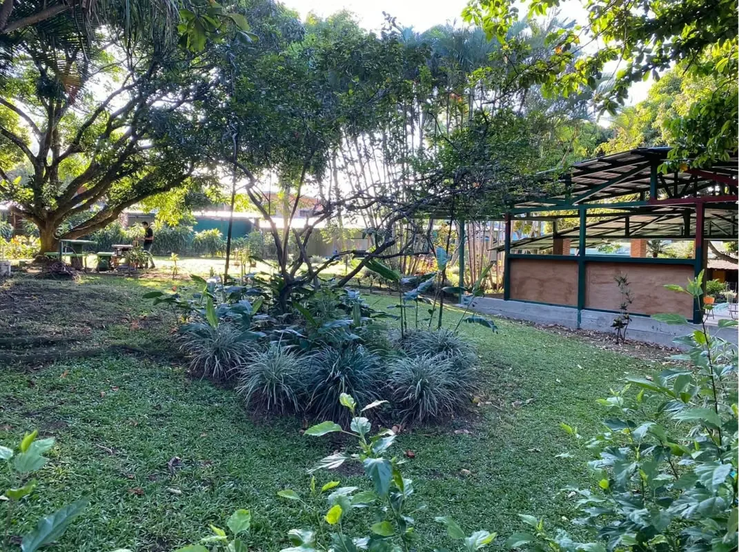 Property with Buildings for Sale, photo 12