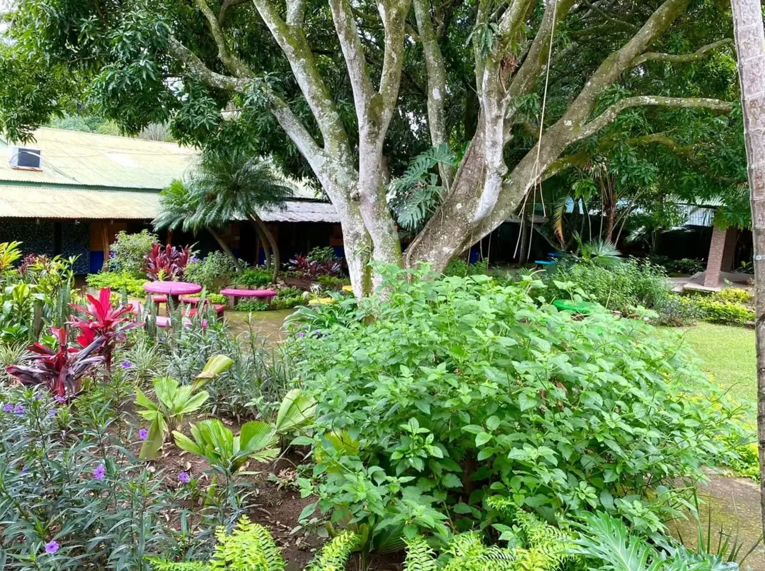 Property with Buildings for Sale, photo 4