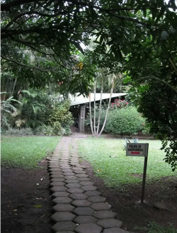 Property with Buildings for Sale, photo 5