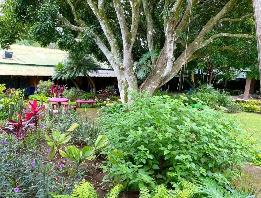 Property with Buildings for Sale, photo 10