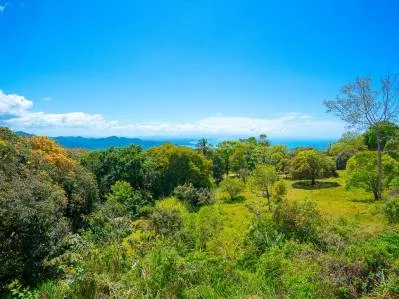 Panoramic Ocean View Lot For Sale in Ojochal – Ample Space for an Exclusive Project, photo 2