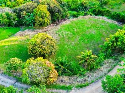 Panoramic Ocean View Lot For Sale in Ojochal – Ample Space for an Exclusive Project, photo 3