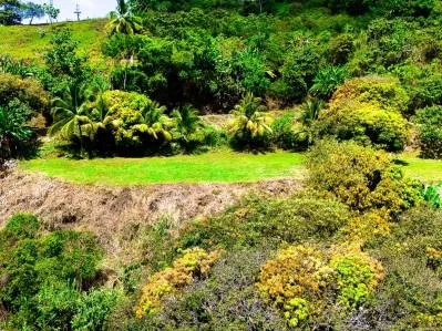 Panoramic Ocean View Lot For Sale in Ojochal – Ample Space for an Exclusive Project, photo 5