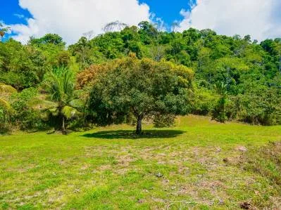 Panoramic Ocean View Lot For Sale in Ojochal – Ample Space for an Exclusive Project, photo 6