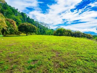 Panoramic Ocean View Lot For Sale in Ojochal – Ample Space for an Exclusive Project, photo 8