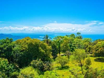 Panoramic Ocean View Lot For Sale in Ojochal – Ample Space for an Exclusive Project, photo 9