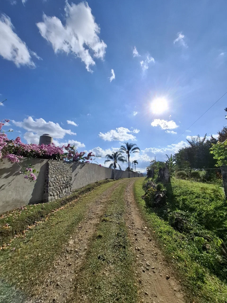 Unique Property in San Vito de Coto Brus, Costa Rica – 13 Hectares with River and Waterfall - REMAX Jungle Properties | Pavones Golfito Real Estate