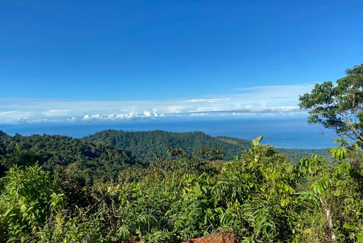 PARORAMIC VIEW OF THE SOUTH PACIFIC COSTS LOT – 3.36 ACRES, photo 2