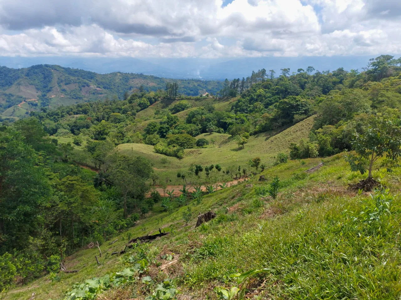 PARORAMIC VIEW OF THE SOUTH PACIFIC COSTS LOT – 3.36 ACRES, photo 13