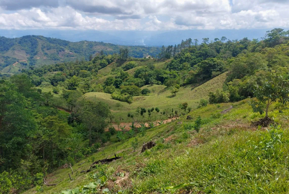 PARORAMIC VIEW OF THE SOUTH PACIFIC COSTS LOT – 3.36 ACRES, photo 14