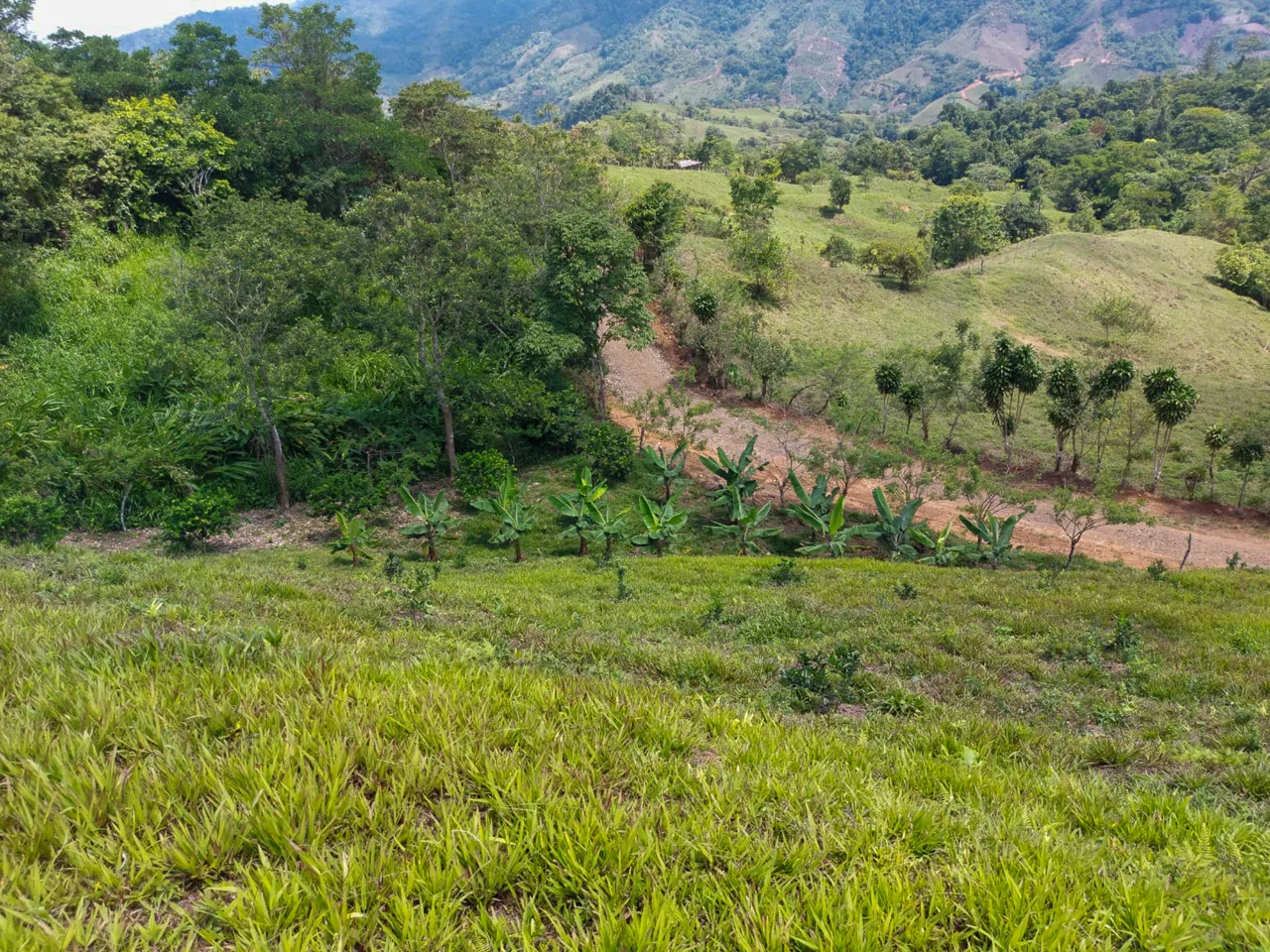 PARORAMIC VIEW OF THE SOUTH PACIFIC COSTS LOT – 3.36 ACRES, photo 17