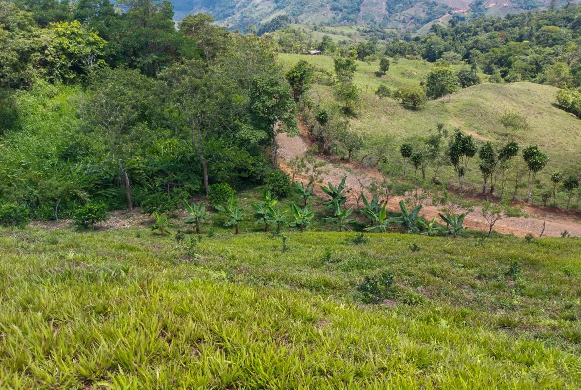 PARORAMIC VIEW OF THE SOUTH PACIFIC COSTS LOT – 3.36 ACRES, photo 18