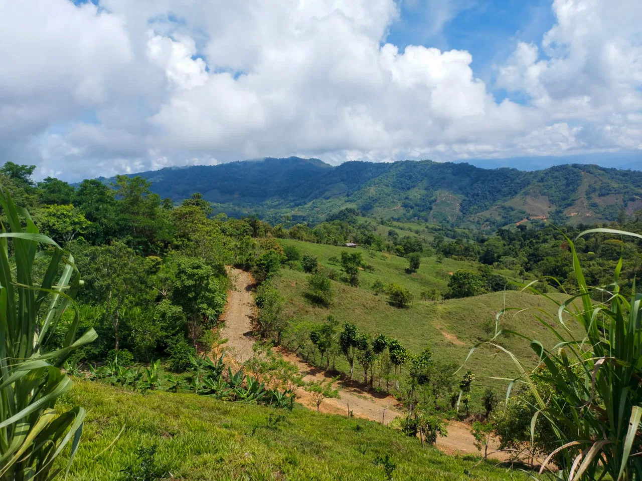 PARORAMIC VIEW OF THE SOUTH PACIFIC COSTS LOT – 3.36 ACRES, photo 3