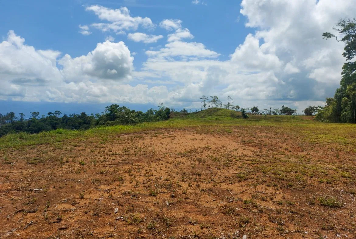 PARORAMIC VIEW OF THE SOUTH PACIFIC COSTS LOT – 3.36 ACRES, photo 22