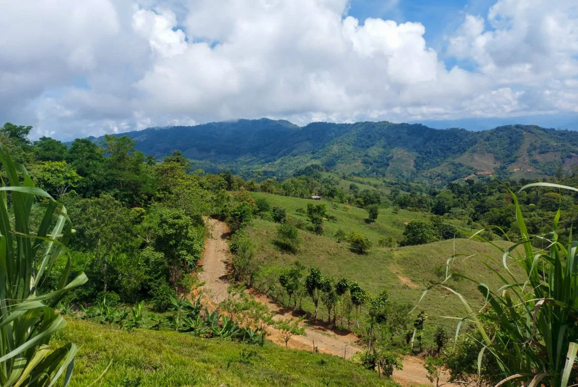PARORAMIC VIEW OF THE SOUTH PACIFIC COSTS LOT – 3.36 ACRES, photo 4
