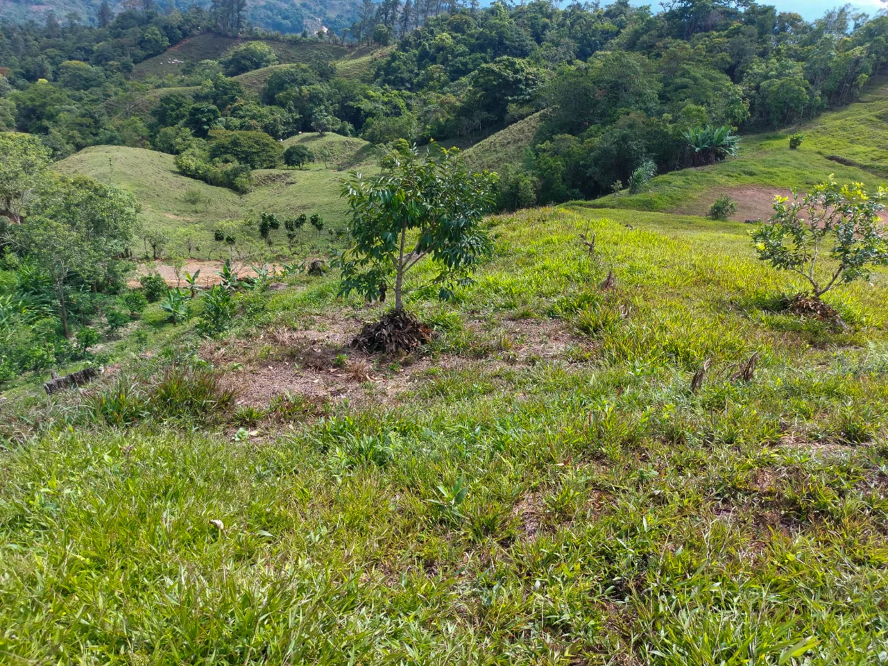 PARORAMIC VIEW OF THE SOUTH PACIFIC COSTS LOT – 3.36 ACRES, photo 5