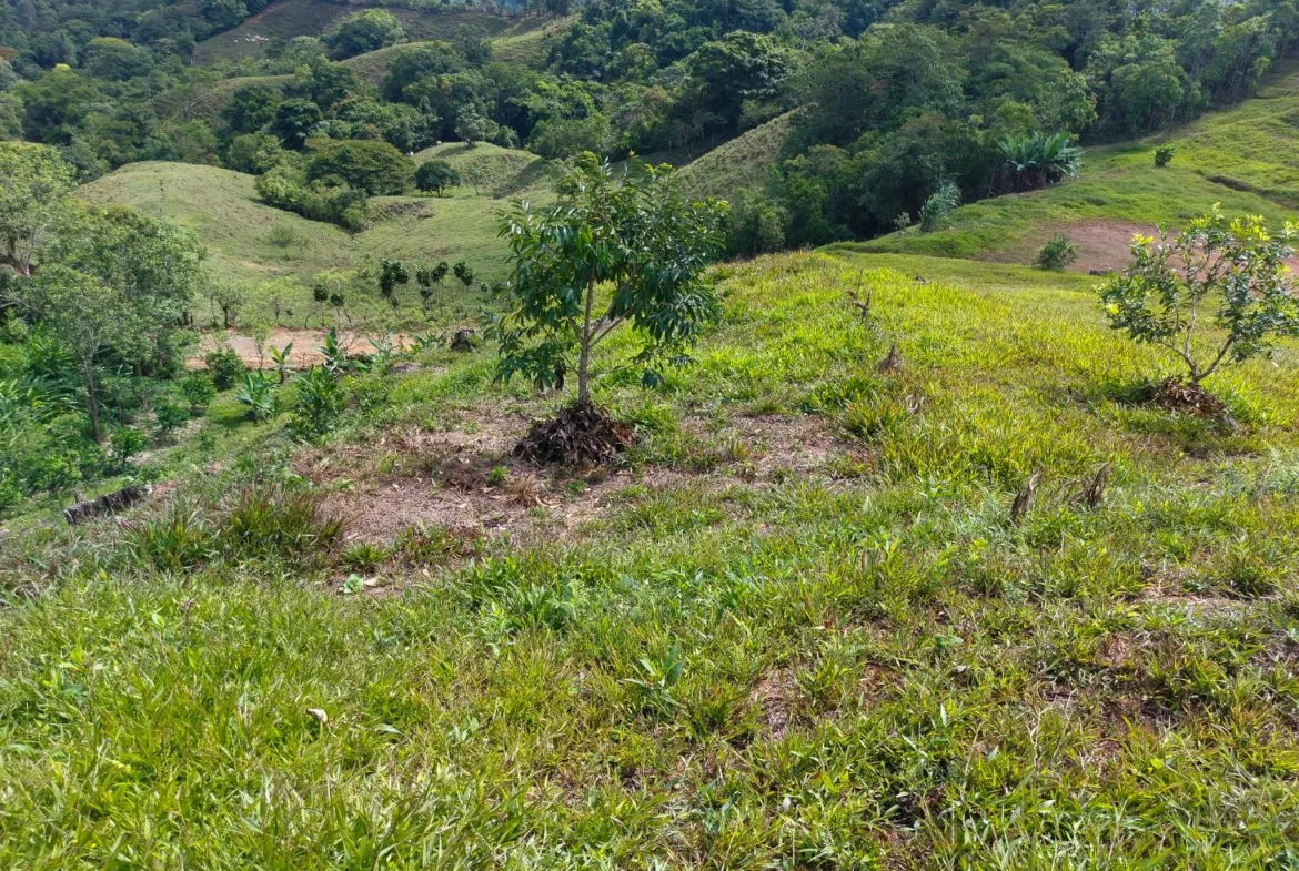 PARORAMIC VIEW OF THE SOUTH PACIFIC COSTS LOT – 3.36 ACRES, photo 6