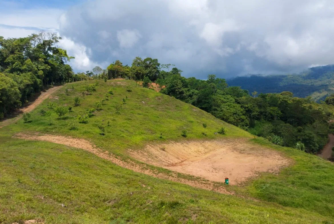 PARORAMIC VIEW OF THE SOUTH PACIFIC COSTS LOT – 3.36 ACRES, photo 8