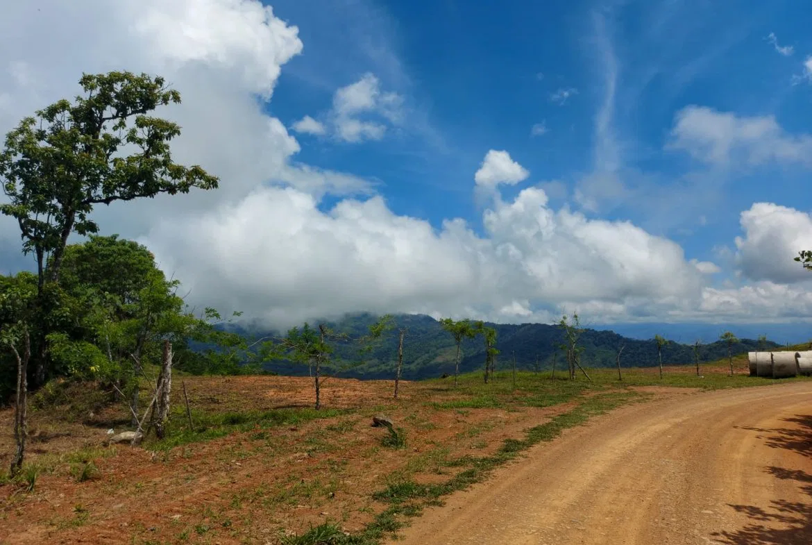 PARORAMIC VIEW OF THE SOUTH PACIFIC COSTS LOT – 3.36 ACRES, photo 10
