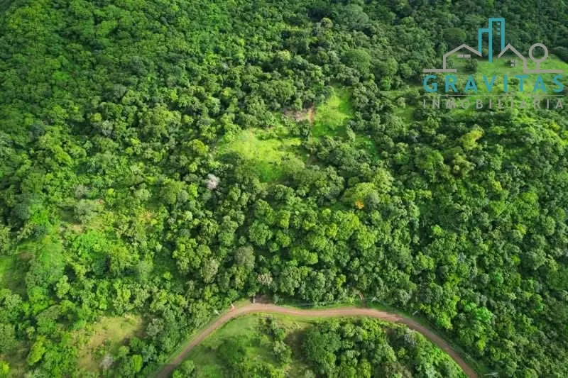 Farm for Sale in Santa Rosa, Guanacaste – 32 Hectares (ID 2043)