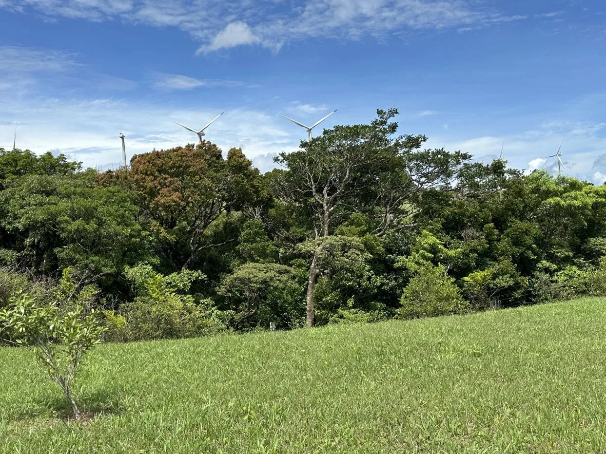 Volcano Views &amp; Country Living - A Private Tierras Morenas Retreat, photo 15