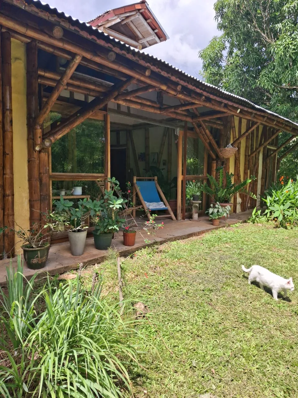 Bambu House in Turrubares – Live in Harmony with Nature, photo 9