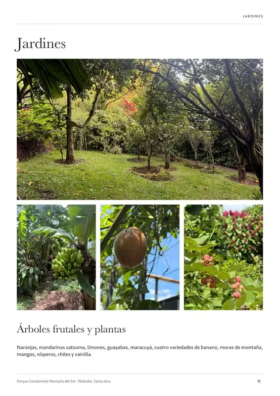 Una casa amplia y remodelada, con cuatro dormitorios, tres baños y oficina independiente y bodega. jardines con árboles maduros y espacios sociales que se abren hacia las terrazas, ..., photo 14