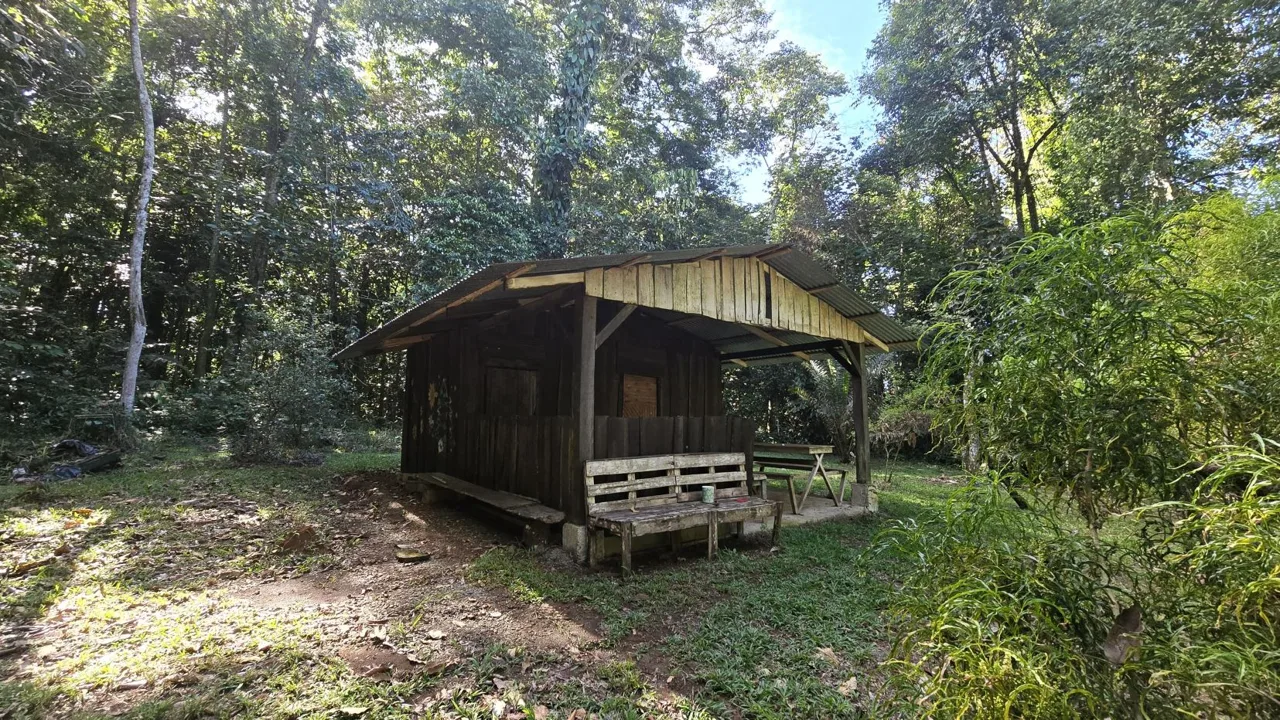 Stunning Land of 6,545 M² For Sale In Peñas Blancas, Pérez Zeledón – Nature, Privacy, And Comfort, photo 6