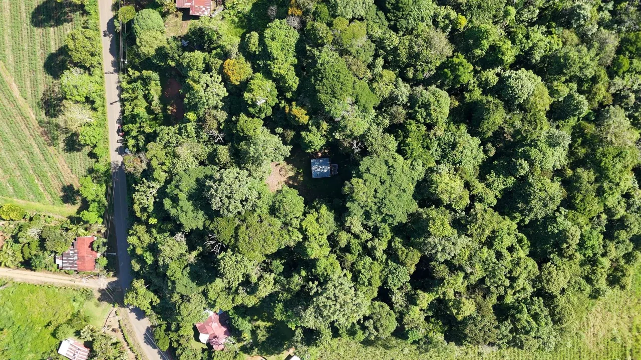 Stunning Land of 6,545 M² For Sale In Peñas Blancas, Pérez Zeledón – Nature, Privacy, And Comfort, photo 9
