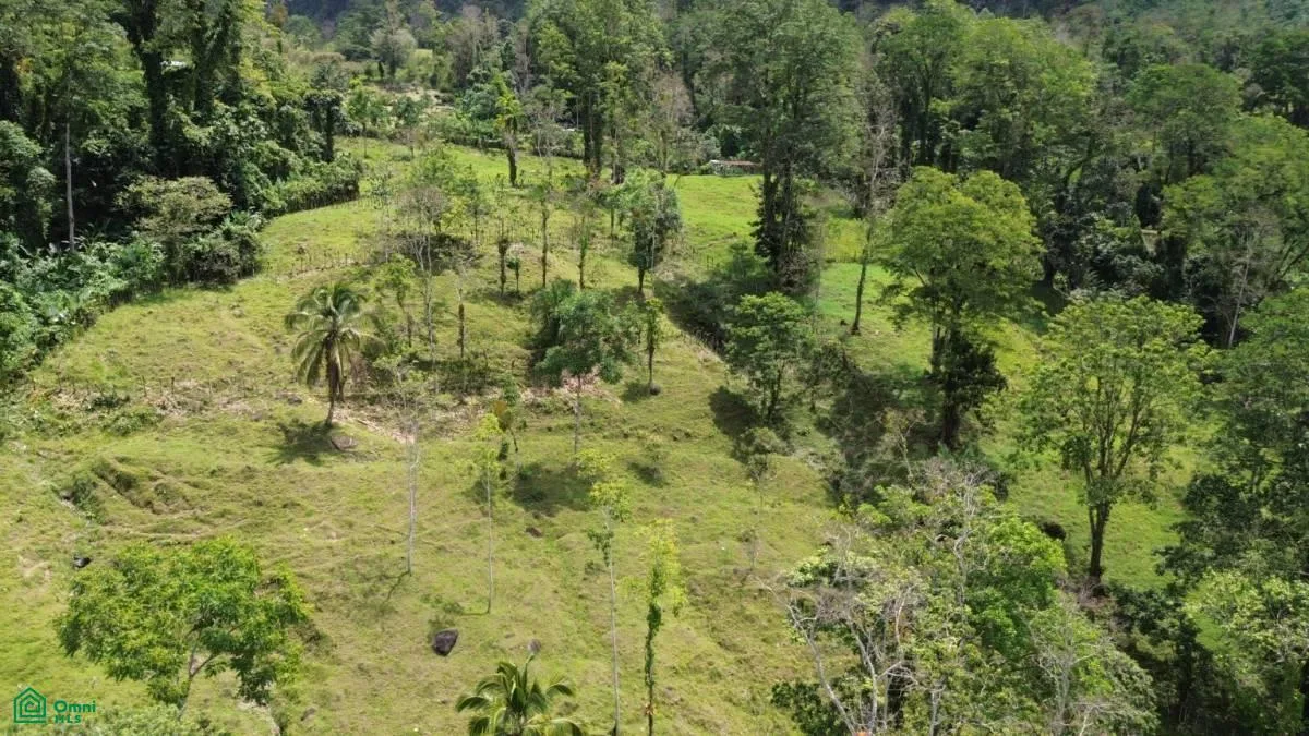 El Seis Santa Teresita Turrialba Cartago