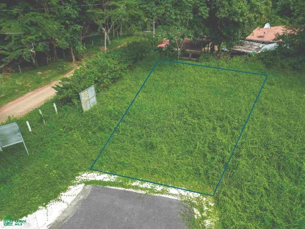 Mango Walk Lote 11 - Lote forestal cerrado cerca de Playa Minas