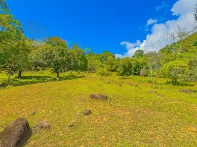 Lot 20 Spacious 2,387 m² - 0,58 acres Parcel for Investment  – Prime Location Near Ojochal and Uvita, photo 6