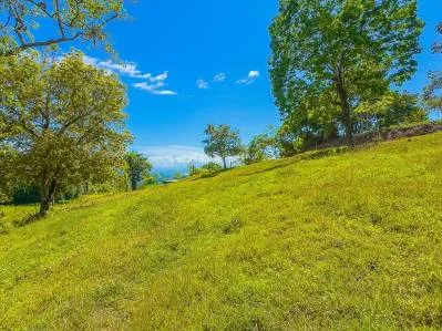 Lot 20 Spacious 2,387 m² - 0,58 acres Parcel for Investment  – Prime Location Near Ojochal and Uvita, photo 9