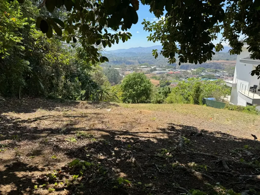 This spectacular 1,038 m² lot is located within a high-end private gated community, ideal for ..., photo 6