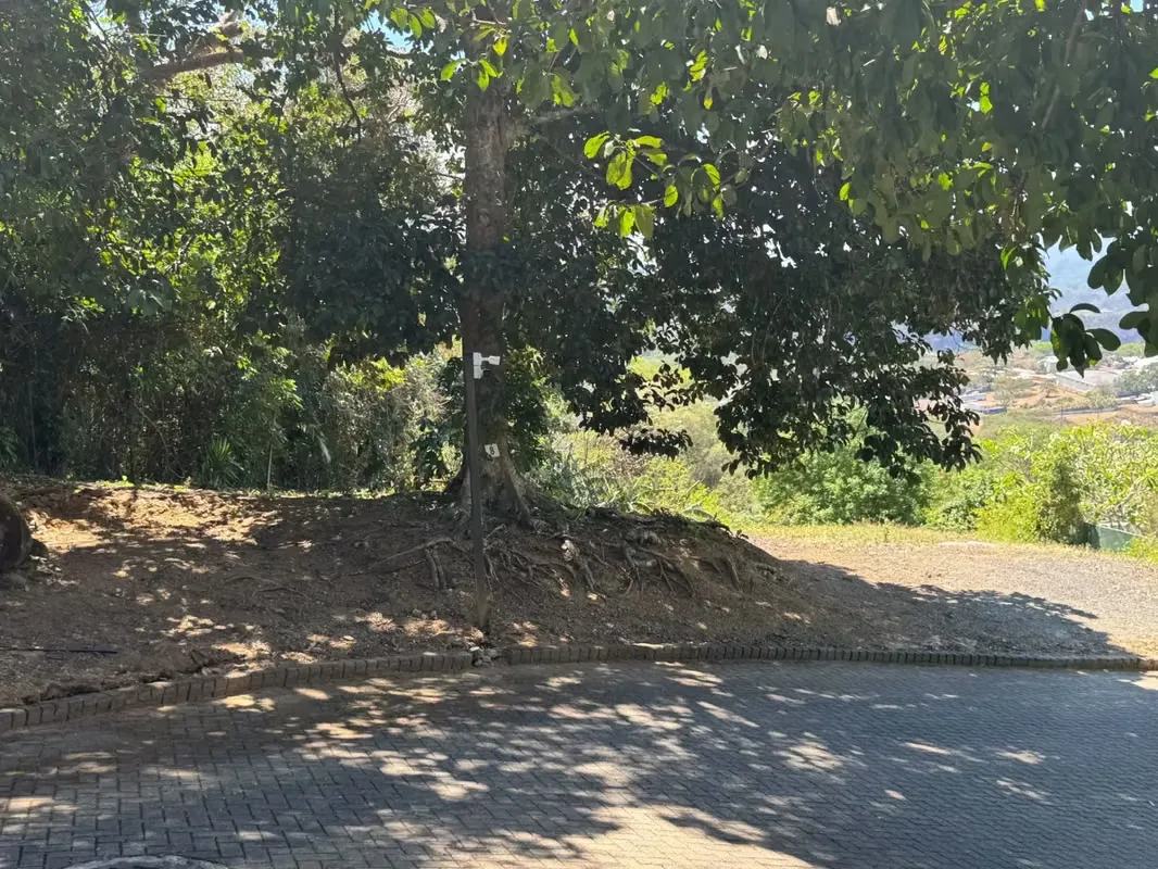 This spectacular 1,038 m² lot is located within a high-end private gated community, ideal for ..., photo 7