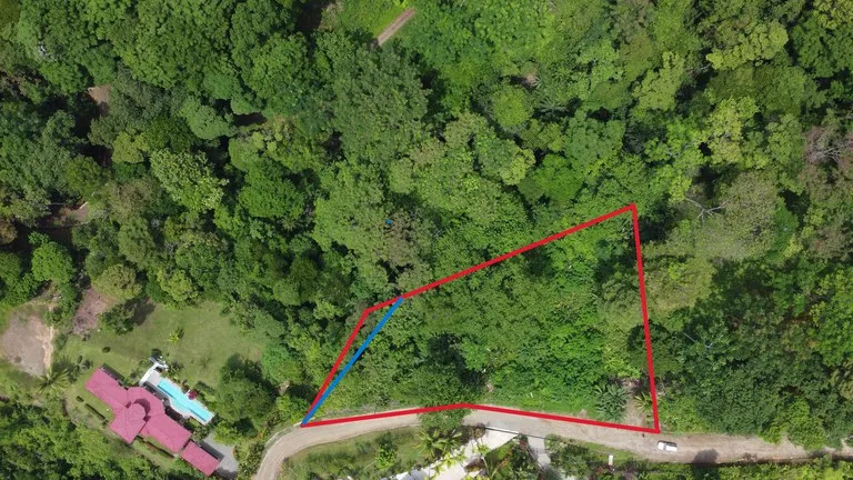 Ojochal - 1 Acre Ready To Build Jungle Lot, Ocean Breezes in Wildlife Corridore, photo 2