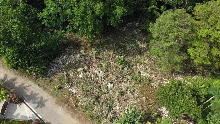 Ojochal - 1 Acre Ready To Build Jungle Lot, Ocean Breezes in Wildlife Corridore, photo 14