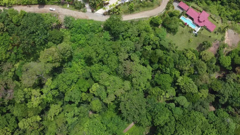 Ojochal - 1 Acre Ready To Build Jungle Lot, Ocean Breezes in Wildlife Corridore, photo 3