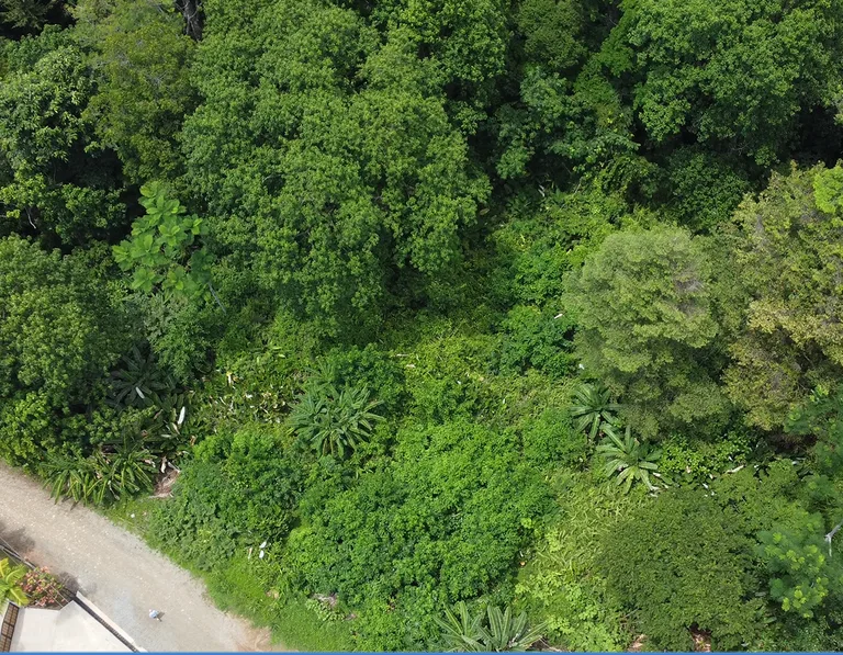Ojochal - 1 Acre Ready To Build Jungle Lot, Ocean Breezes in Wildlife Corridore, photo 5