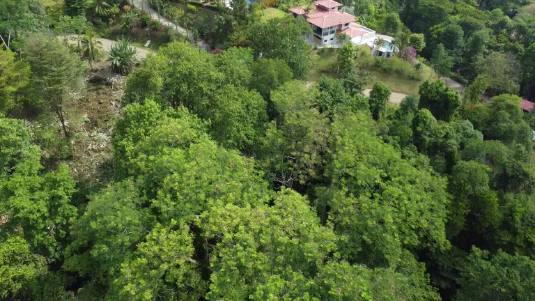 Ojochal - 1 Acre Ready To Build Jungle Lot, Ocean Breezes in Wildlife Corridore, photo 6