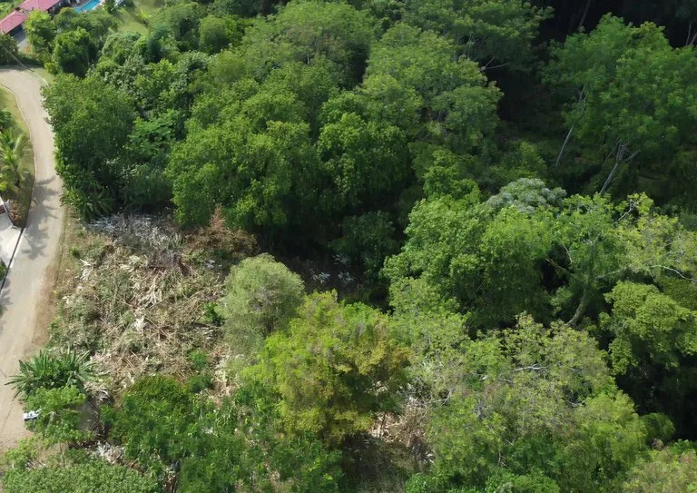 Ojochal - 1 Acre Ready To Build Jungle Lot, Ocean Breezes in Wildlife Corridore, photo 7