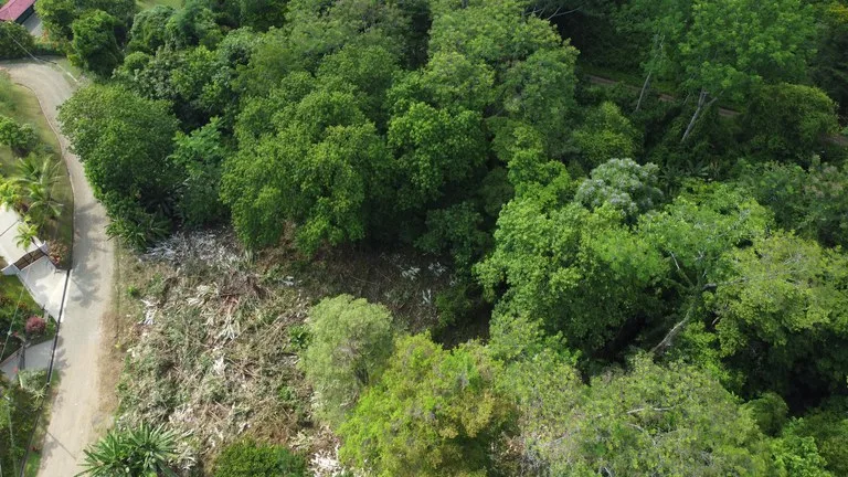 Ojochal - 1 Acre Ready To Build Jungle Lot, Ocean Breezes in Wildlife Corridore, photo 8