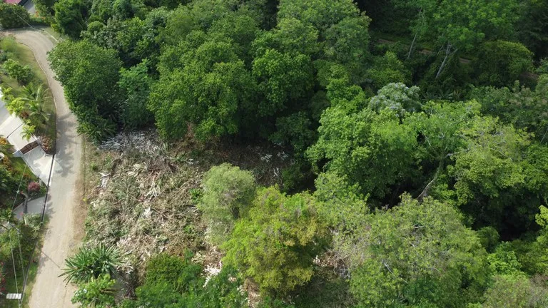 Ojochal - 1 Acre Ready To Build Jungle Lot, Ocean Breezes in Wildlife Corridore, photo 9