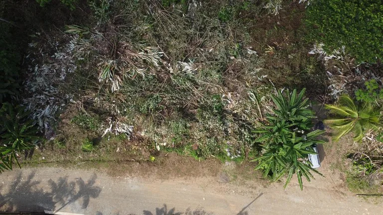 Ojochal - 1 Acre Ready To Build Jungle Lot, Ocean Breezes in Wildlife Corridore, photo 10