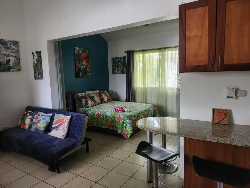 1 Bed Condo For Sale in Playas Del Coco, photo 5